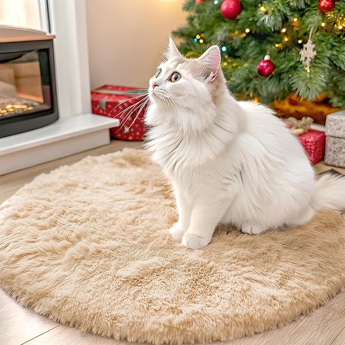 Cozy Rugs