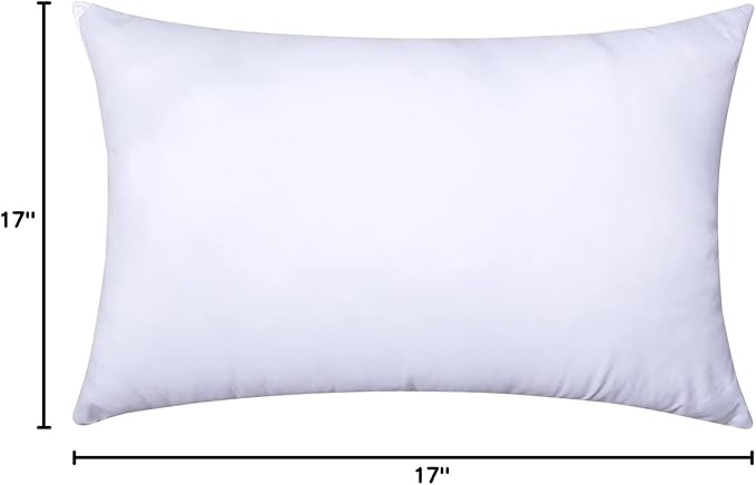 MIULEE Throw Pillow Insert Premium Pillow Stuffer Sham Rectangle for Decorative Cushion Bed Couch Sofa 16x24 Inch