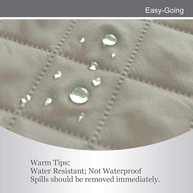 Easy-Going Reversible Loveseat Couch Cover for 2 Cushion Couch Sofa Cover for Dogs Water Resistant Furniture Protector with Foam Sticks Elastic Straps for Pet (Loveseat, Beige/Beige)