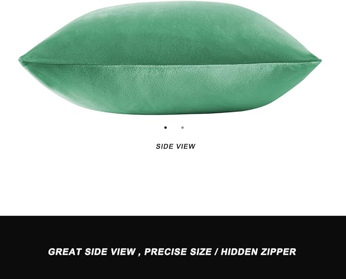 GIGIZAZA Mint Turquoise Velvet Decorative Throw Pillow Covers for Sofa Bed 2 Pack Soft Cushion Cover