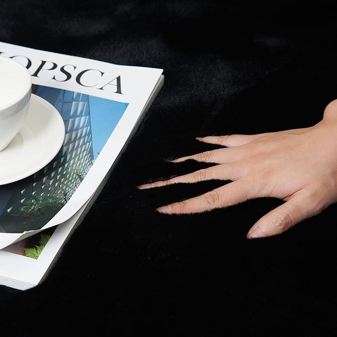 Ghouse Ultra Soft Faux Rabbit Fur Rug, Machine Washable Area Rugs for Bedroom Fluffy Rugs for Living Room, no-Shedding Carpet Sheepskin Rug Black 2x3 Feet