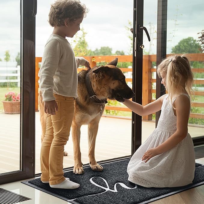 BeneathYourFeet Door Mat (30"x17.5",Black), Welcome Mat Low Profile Front Doormat Floor Mat Non Slip Rugs for Entryway, Patio, High Traffic Areas