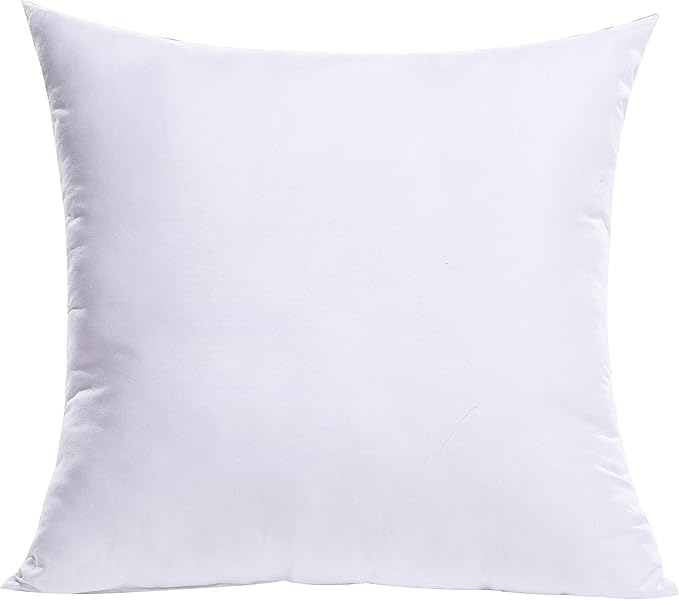 MIULEE Throw Pillow Insert Premium Pillow Stuffer Sham Square Form for Decorative Cushion Bed Couch Sofa 21x21 Inch