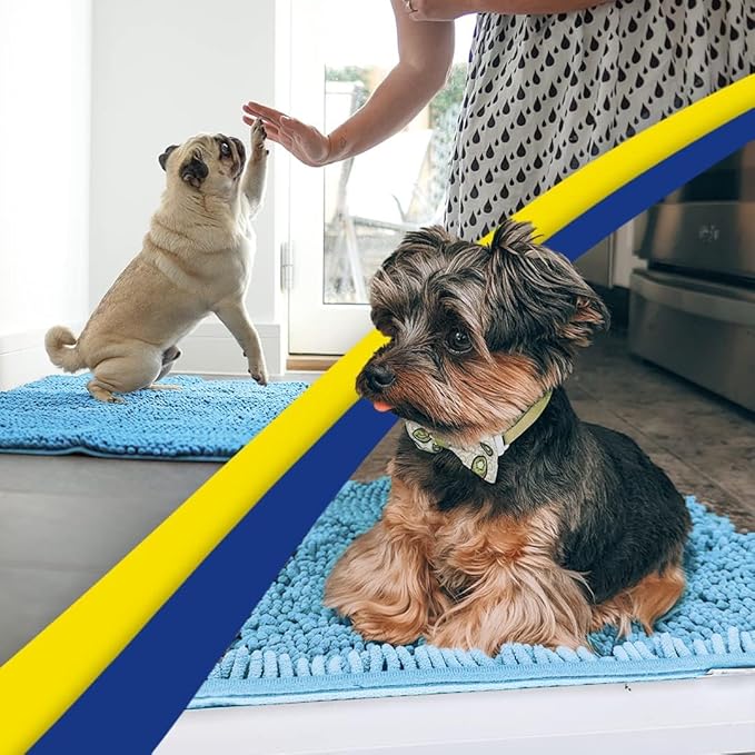 Muddy Mat® | Super Absorbent Door Mat Indoor, Microfiber Quick Dry Chenille Entryway Rug, Non-Slip Front Door Mat, Indoor Mats for Entryway, Machine Washable Pet Rug, Sky Blue 19"x30"