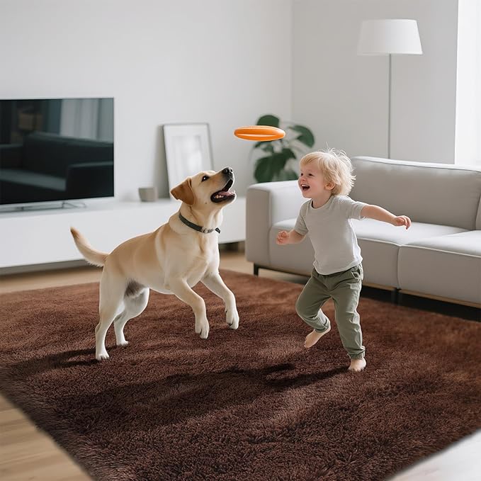 Shag Area Rugs for Bedroom Living Room,6X9 Ultra Soft Fluffy Area Rugs for Dorm, Indoor Carpet Nursery Rugs for Kids Room Home Decor,Brown