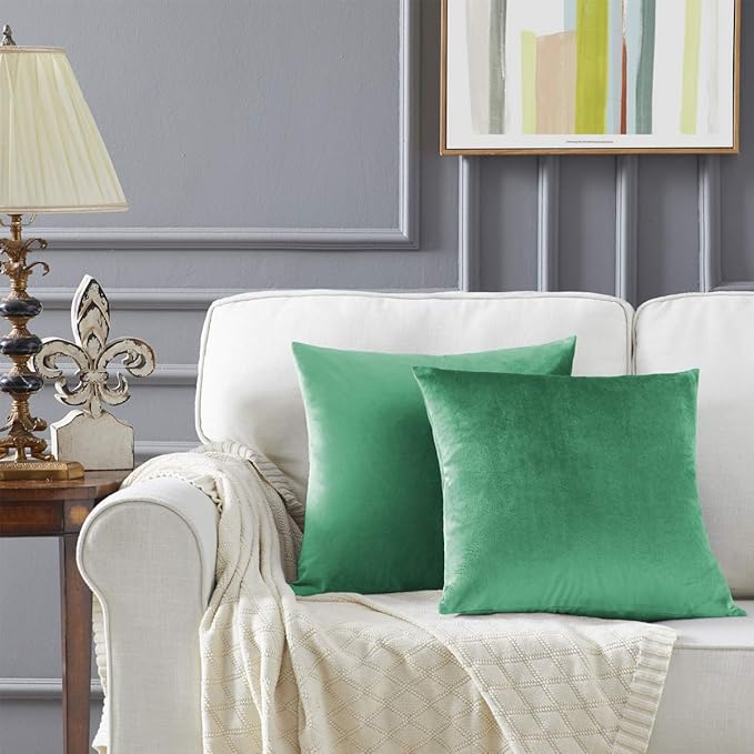 GIGIZAZA Decor Throw Couch Pillow Covers,Set of 2 Sofa Cushion Mint Turquoise Pillow Covers,Velvet Pillow Cases 24 x 24inch