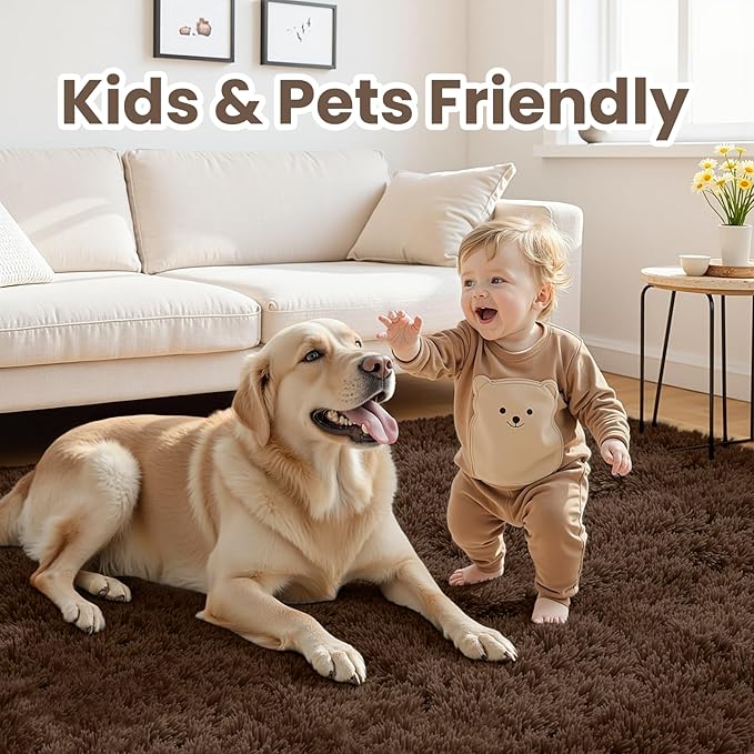 4x6 Area Rugs for Living Room Rug: Soft Fluffy Shag Brown Rugs for Bedroom, Non-Slip Large Fuzzy Plush Rug Indoor Floor Carpet for Nursery Kids Boys Girls Room, Dorms, Playroom, Modern Home Decor