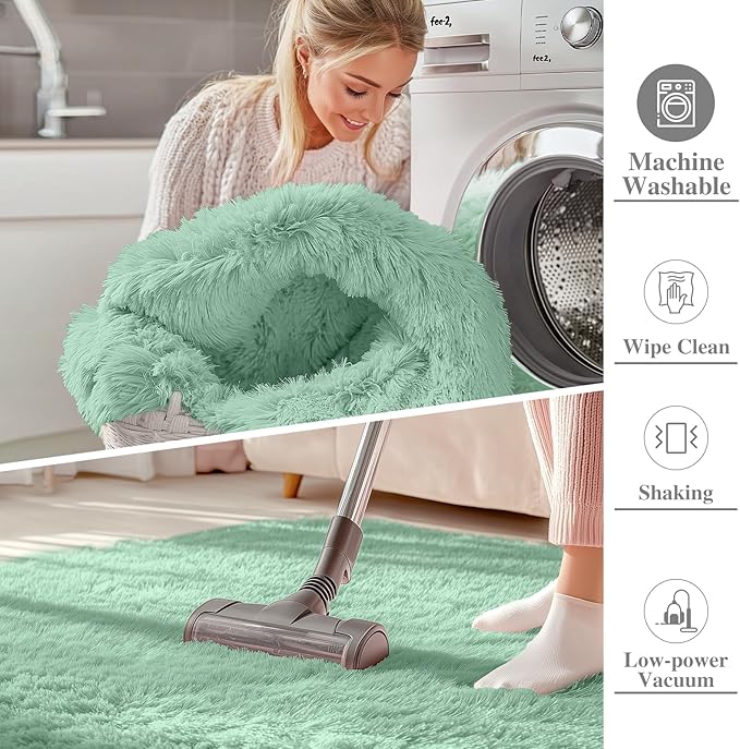 OLANLY 5x8 Machine Washable Large Area Rugs for Living Room, Bedroom, Soft Fluffy Shaggy Bedside Rug, Indoor Floor Carpet for Kids Girls and Boys, Dorms, Nursery, Home Decor Aesthetic, Mint Green