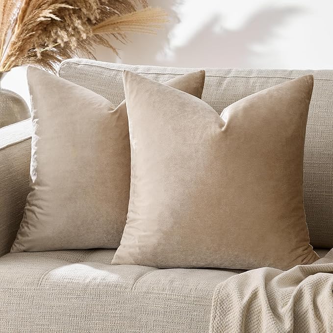 GIGIZAZA Decorative Couch Throw Pillow Covers,Set of 2 Taupe Square Pillow Cushion Covers 22x22 Velvet Pillowcase