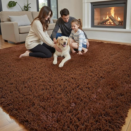 Area Rugs 9x12 Living Room, Shaggy Carpet Soft Plush Furry Bedside Rug Large Area Rugs for Bedroom Kids Girls Boys Home Decor Anti Slip(9 x 12, Coffee)