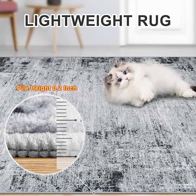 Area Rugs 10x12 Living Room - Washable Rug Modern Abstract Soft Large Neutral Non-Slip Carpet Indoor Floor Thin Carpets for Bedroom Dining Room Farmhouse Nursery Home Office Black