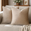 GIGIZAZA Decorative Throw Pillow Covers 20x20,Set of 2 Taupe Square Couch Pillow Covers,Velvet Sofa Boho Cushion Pillows