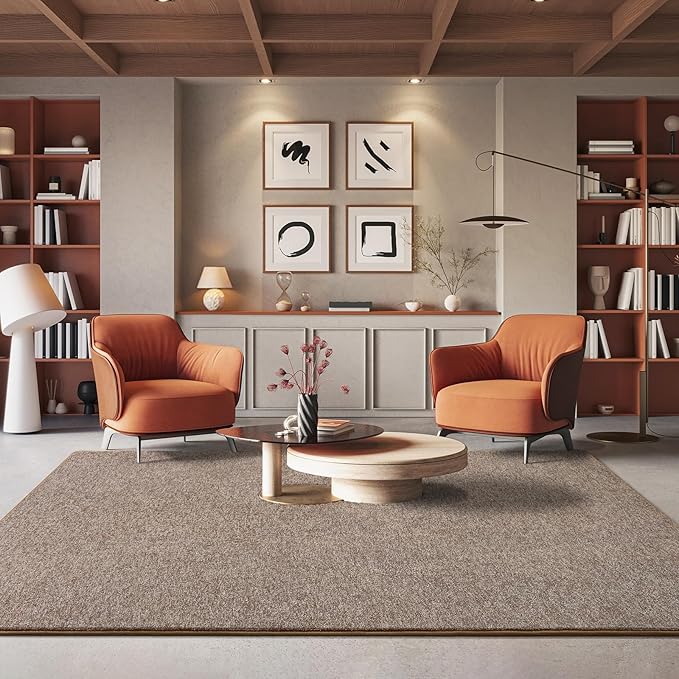 AROGAN Washable 4×6 Bedroom Rug, Modern Area Rugs with Soft Memory Foam for Living Room, Minimalist Non-Slip Indoor Floor Carpet for Dining Room Office Kids Playroom Decor, Matte Brown