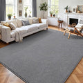 AROGAN Modern Shag Area Rug for Living Room, 5x7 Feet Washable Rugs for Bedroom, Indoor Floor Carpet, Plush Memory Foam Bedside Rug for Kids Girls Teens Low Pile Decor, Grey