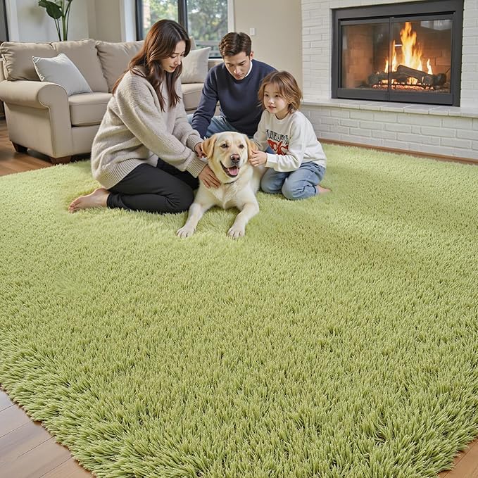 9x12 Area Rugs for Living Room Bedroom, Large Area Rug Shag Shaggy Carpet Soft Plush Furry Bedside Rug, Machine Washable Area Rugs for Kids Girls Boys Home Decor(9 x 12, Grass Green)
