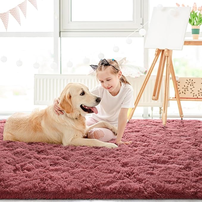 LOCHAS Ultra Soft Indoor Modern Area Rugs Fluffy Living Room Carpets for Children Bedroom Home Decor Nursery Rug 3x5 Feet, Blush