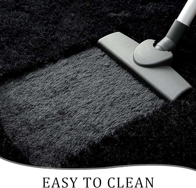 Chicrug Soft Area Rugs for Bedroom Living Room Plush Fluffy Rug 2x4 Feet, Shag Furry Area Rug Carpet Non Shedding for Nursery Children Kids Girls Room Home Decorative, Black