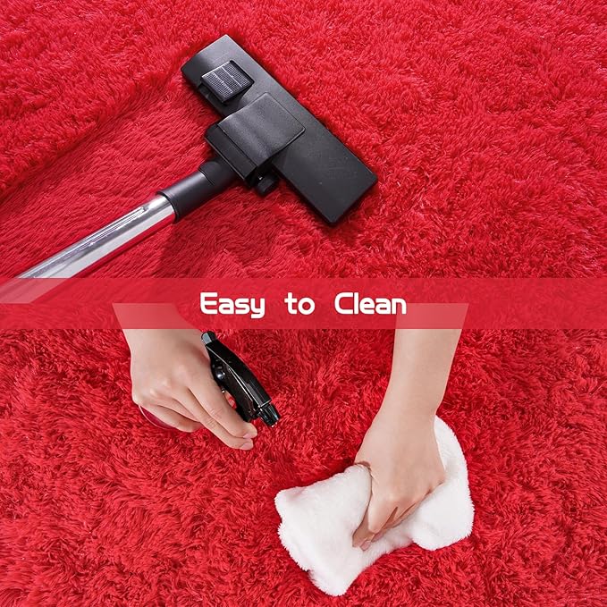 Pionblank Fluffy Small Rug for Bedroom 2x3 Feet, Shag Soft Area Rug for Bedside, Modern Plush Cute Carpet for Kids Girls Boys Room Nursery Decor, Red