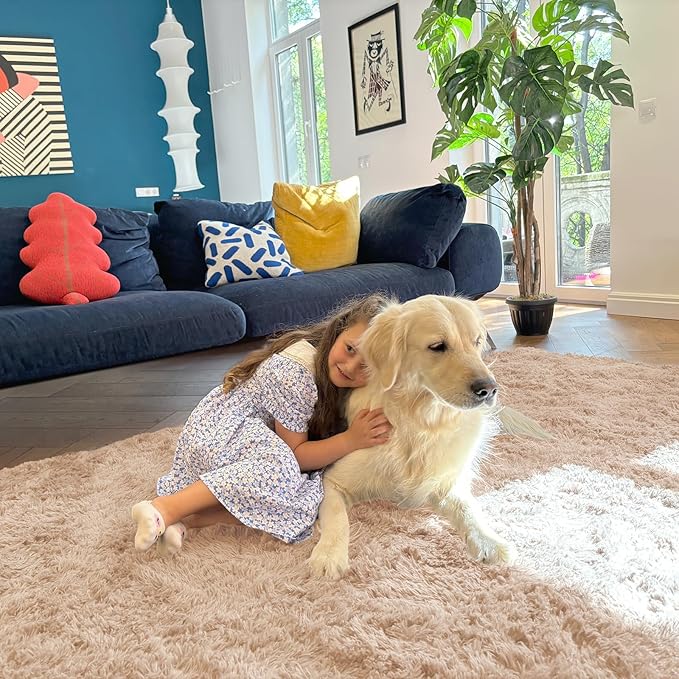 OLANLY 5x5 Area Rugs for Living Room Bedroom, Machine Washable Soft Fluffy Shaggy Bedside Rug, Indoor Floor Carpet for Kids Girls and Boys, Dorms, Nursery Rooms, Home Decor Aesthetic, Beige