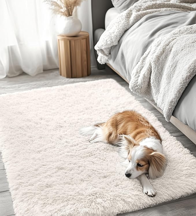 OLANLY 3x4 Machine Washable Accent Rug, Soft Fluffy Shaggy Area Rug for Bedroom, Living Room, Indoor Floor Carpet for Kids, Nursery, Home Decor, Ivory