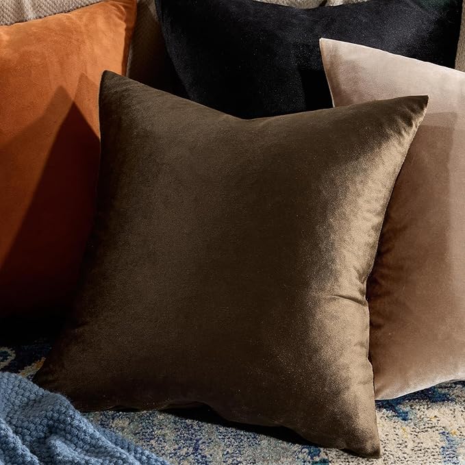 GIGIZAZA Brown Velvet Pillow Covers 18x18,Square Solid Throw Pillow Covers Decorative Modern Pillows Small Vintage Cases for Couch Pack of 2