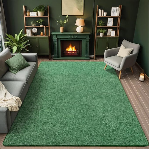 AROGAN Washable 5×7 Living Room Rug, Modern Area Rugs with Soft Memory Foam for Bedroom, Minimalist Non-Slip Indoor Floor Carpet for Dining Room Office Kids Playroom Decor, Sage Green