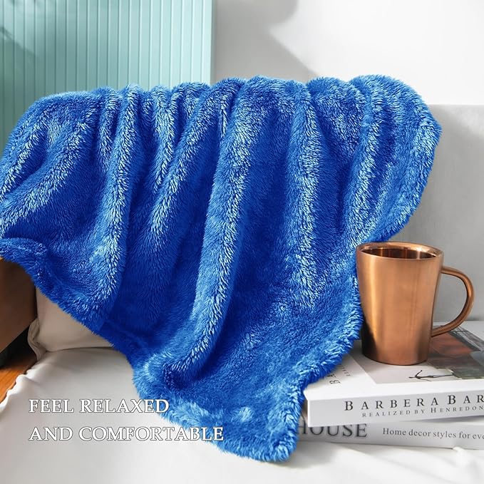 Exclusivo Mezcla Plush Fuzzy Fleece Bed Blanket Queen Size, Super Soft, Fluffy and Warm Blankets for Couch, Bed, All Season (Cobalt Blue, 90x90 inches)