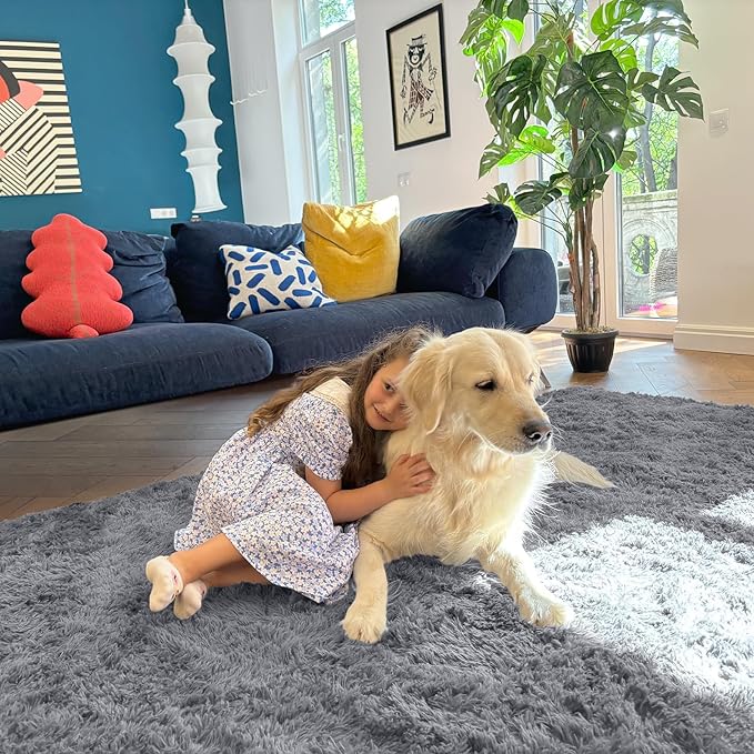 OLANLY 5x6 Area Rugs for Living Room Bedroom, Machine Washable Soft Fluffy Shaggy Bedside Rug, Indoor Floor Carpet for Kids Girls and Boys, Dorms, Nursery Rooms, Home Decor Aesthetic, Light Grey