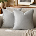 GIGIZAZA 16x16 Square Velvet Small Pillow Covers Set of 2 Silver Grey Throw Pillow Covers Modern Decorative Pillows for Living Room Couch Luxury Pillow Cases