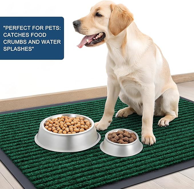 OLANLY Front Door Mat Indoor Outdoor Entrance, Waterproof Heavy Duty Doormat, Fade Resistant, Low Profile, Easy Clean Patio Porch Welcome Floor Mats for Entry, 47x30, Green