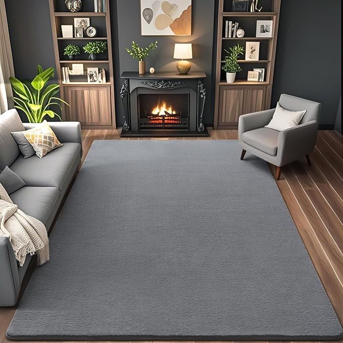 AROGAN 4x6 Feet Shag Area Rugs for Bedroom, Modern Washable Rugs for Living Room, Indoor Floor Carpet, Plush Memory Foam Bedside Rugs for Kids Girls Teens Room Low Pile Rug Decor, Grey