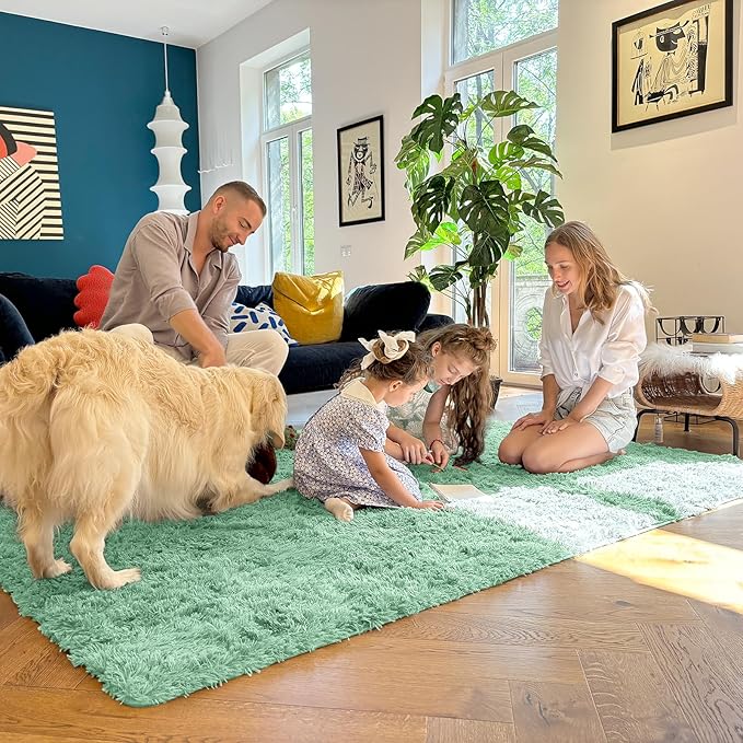 OLANLY 5x8 Machine Washable Large Area Rugs for Living Room, Bedroom, Soft Fluffy Shaggy Bedside Rug, Indoor Floor Carpet for Kids Girls and Boys, Dorms, Nursery, Home Decor Aesthetic, Mint Green