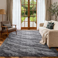 Area Rugs for Living Room, Tie-Dyed 5x7 Feet Soft Fluffy Shagg Plush Rug High Pile Large Indoor Modern Non-Slip Floor Carpet for Bedroom Nursery Kids Home Room Dorm Decor Aesthetic Grey