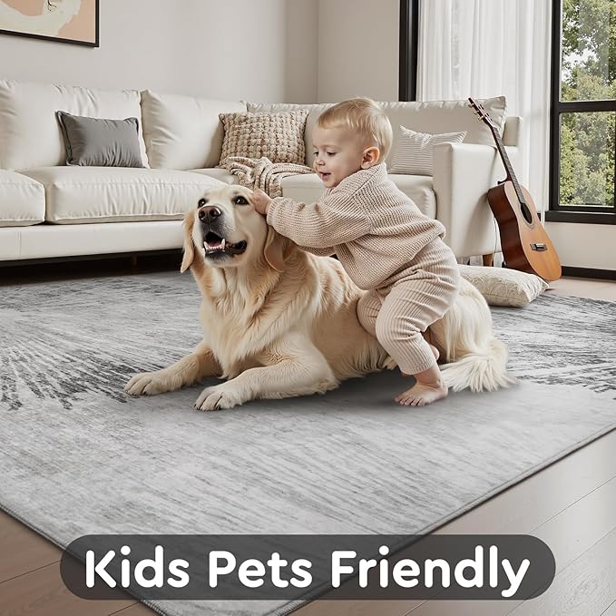 4x6 Rug Small Non Slip Area Rug Ultra Soft Machine Washable Low Pile Modern Abstract Dahlia Indoor Carpet Rugs for Bedroom Living Room Entryway Kitchen Bedside, Grey