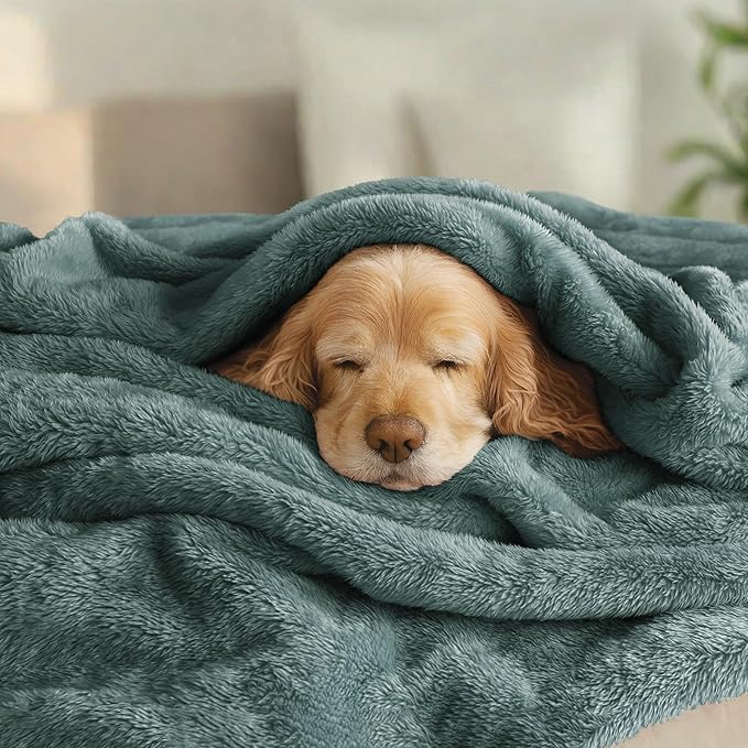 Exclusivo Mezcla Plush Fuzzy Fleece Bed Blanket Queen Size, Super Soft, Fluffy and Warm Blankets for Couch, Bed, All Season (Celadon, 90x90 inches)