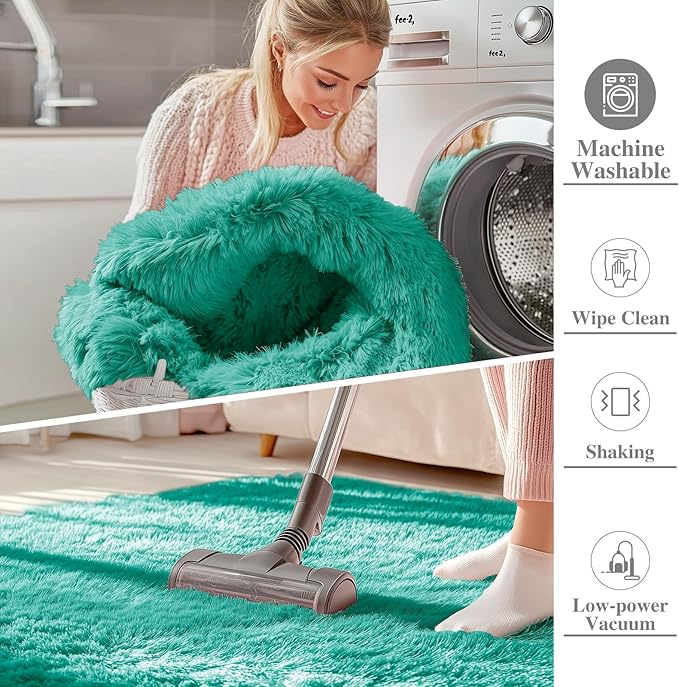 OLANLY 8x10 Machine Washable Large Area Rugs for Living Room, Bedroom, Soft Fluffy Shaggy Bedside Rug, Indoor Floor Carpet for Kids Girls and Boys, Dorms, Nursery, Home Decor Aesthetic, Teal Green