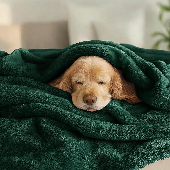 Exclusivo Mezcla Plush Fuzzy Fleece Bed Blanket Queen Size, Super Soft, Fluffy and Warm Blankets for Couch, Bed, All Season (Forest Green, 90x90 inches)