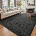 6x9 Ft Large Shag Rugs for Living Room Decor, Ultra Soft Fluffy Furry Area Rugs for Bedroom Indoor Floor, Aesthetic Carpet for Kids Home (Grey)