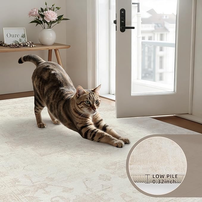 5x7 Area Rugs for Living Room: Vintage Boho Neutral Washable Rug Indoor Soft Large Area Rug Carpet for Bedroom Nursery Farmhouse Dining Room Office Floor Non-Slip Low Pile Under Table Rug Cream Beige