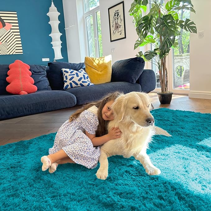OLANLY 3x5 Machine Washable Small Bedside Rug, Soft Fluffy Shaggy Rugs for Living Room, Bedroom, Indoor Floor Carpet for Kids Girls and Boys, Preppy Dorms, Nursery, Home Decor Aesthetic, Teal