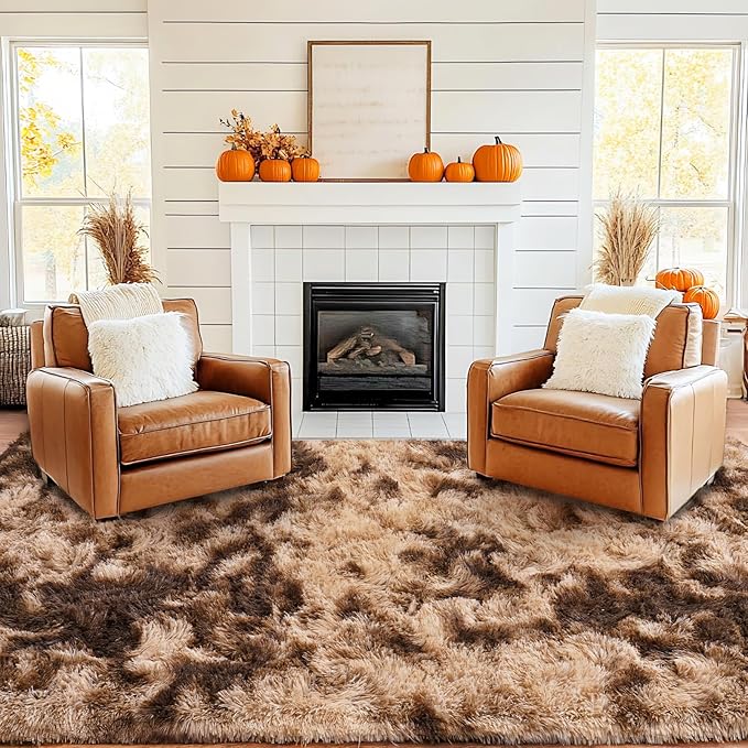 Pionblank Large Area Rug for Living Room 10x14, Fuzzy Modern Shag Rug Brown, Fluffy Plush Non Slip Soft Furry Carpet for Bedroom Kids Room Nursery Teens Dorm Home, Tie-Dyed Coffee