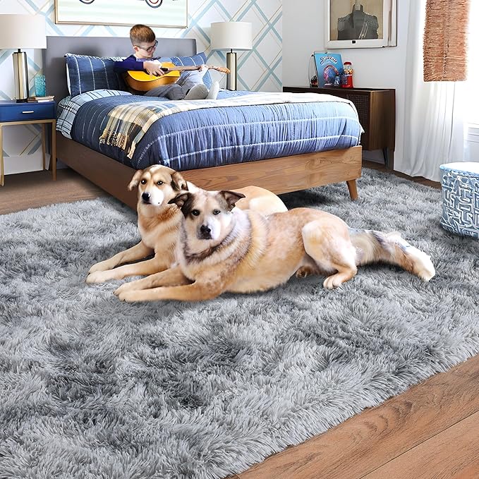 Rugs for Bedroom 4x6, Soft Shaggy Modern Shag Area Rug for Living Room, Upgrade Non-Slip Plush Fluffy Carpet for Kids Boys Girls Room Home Decor Aesthetic, Light Grey