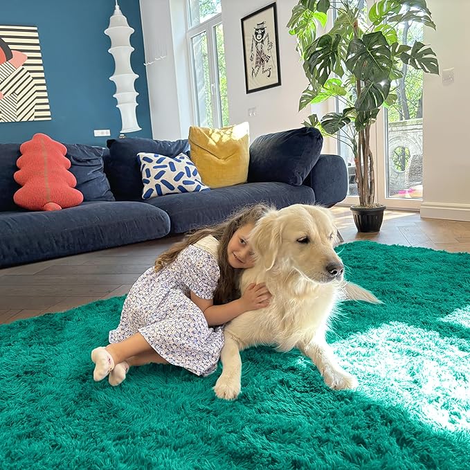 OLANLY 2x3 Machine Washable Small Bedside Rug, Soft Fluffy Shaggy Entryway Throw Rugs for Bedroom, Living Room, Indoor Floor Carpet for Kids Girls and Boys, Home Decor Aesthetic, Teal Green