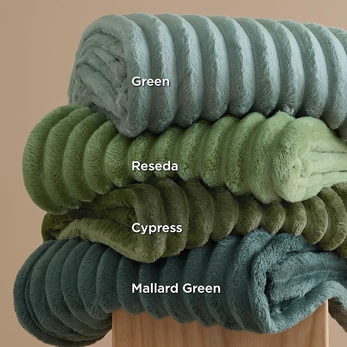 Bedsure GentleSoft Moss Fleece Queen Blanket for Couch - Cozy Soft Blankets for Women, Cute Small Throws for Girls, 90x90 Inches